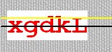 CAPTCHA code